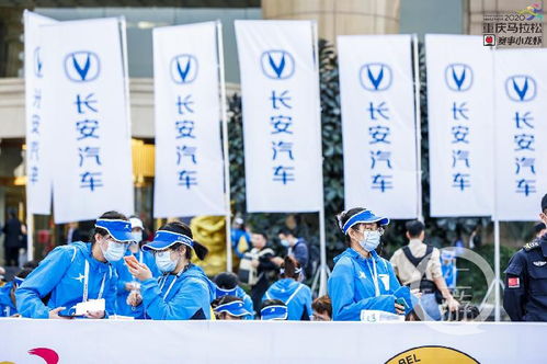 重馬十年 | 年入百萬，重馬造就財富新機遇——重慶創業團隊順富醫藥的崛起之路